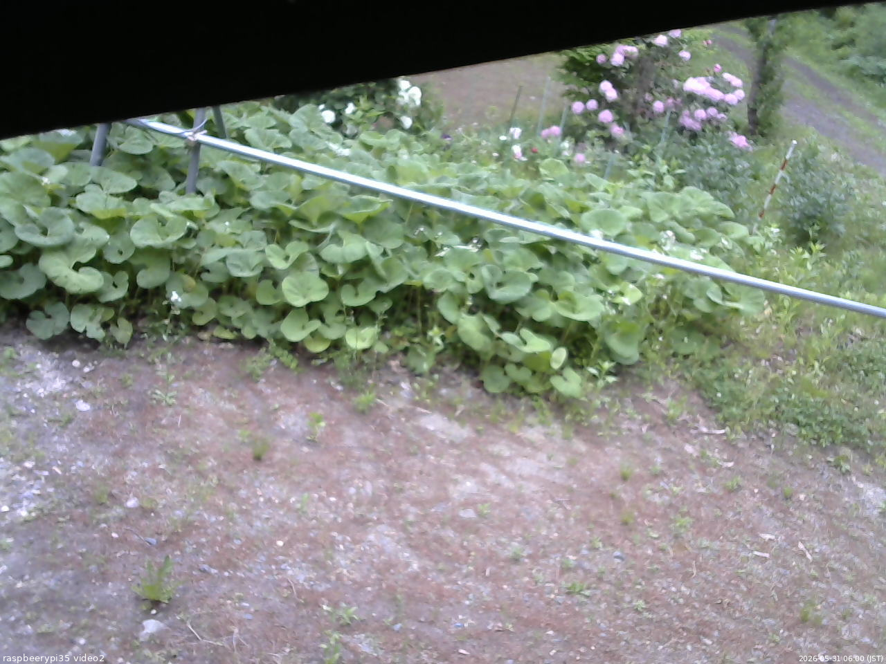 長野県菅平高原 ゆたか山荘 駐車場 2026/05/31 06:00