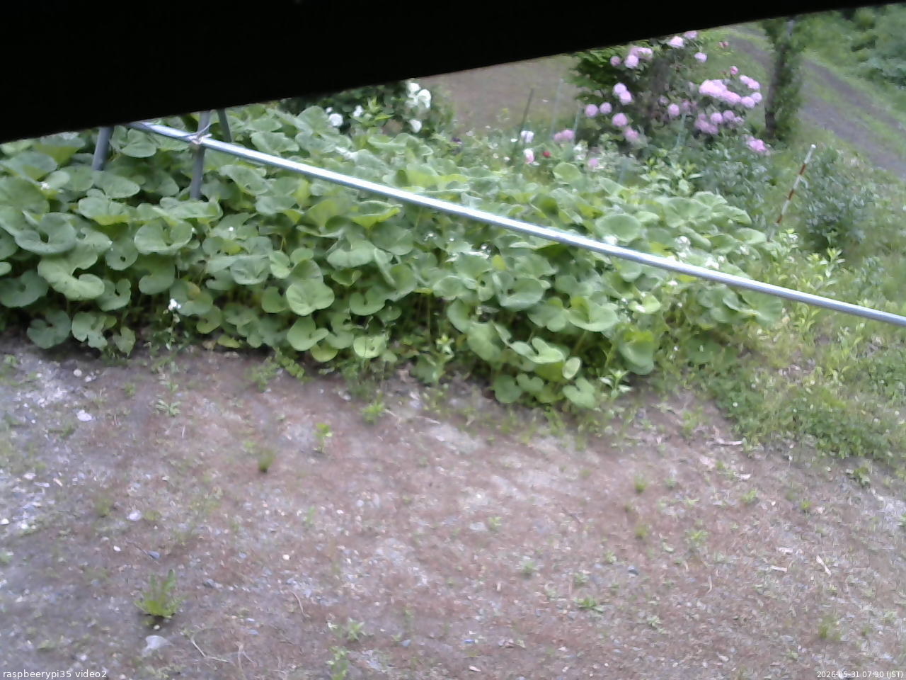 長野県菅平高原 ゆたか山荘 駐車場 2026/05/31 07:30