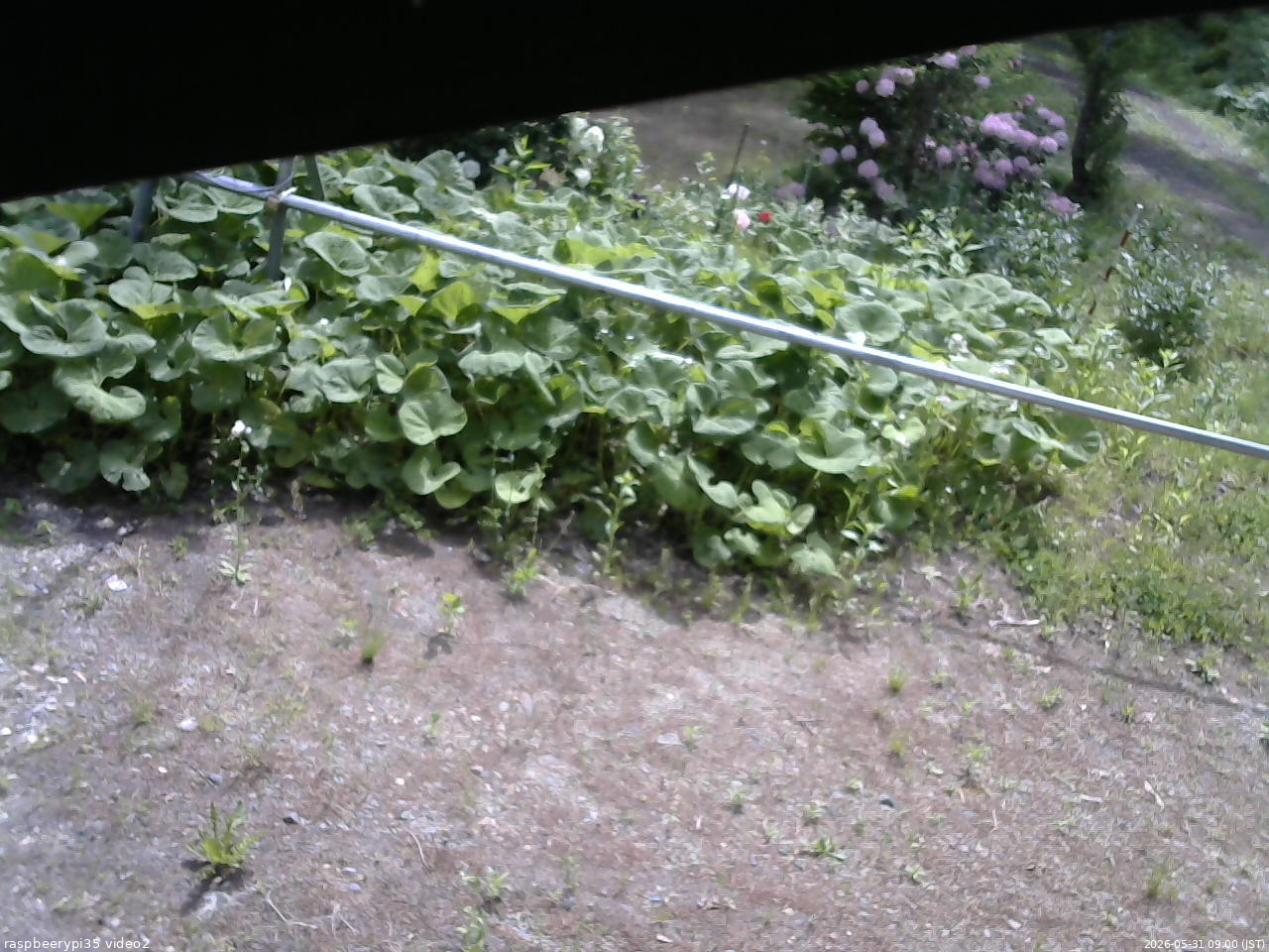 長野県菅平高原 ゆたか山荘 駐車場 2026/05/31 09:00