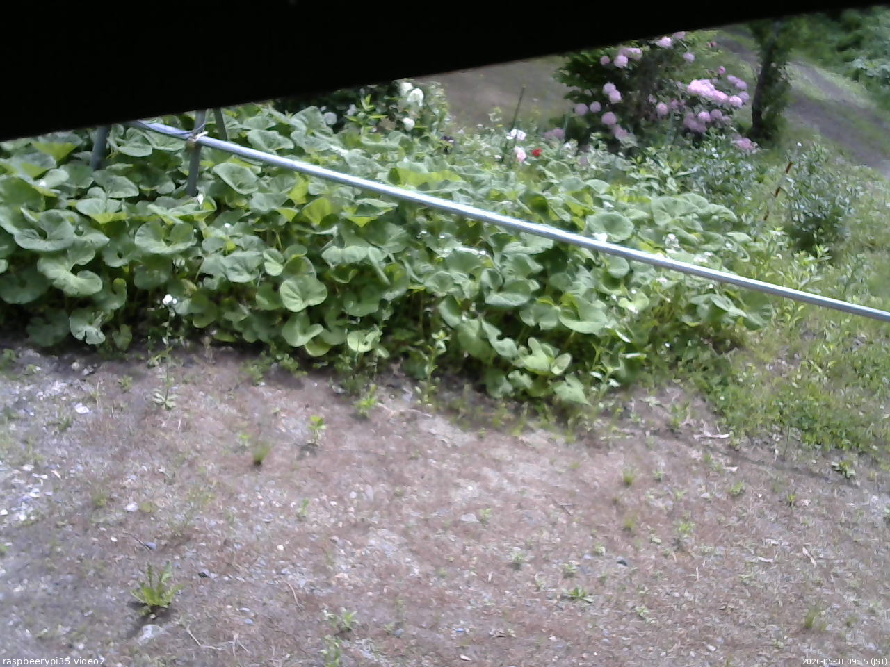 長野県菅平高原 ゆたか山荘 駐車場 2026/05/31 09:15