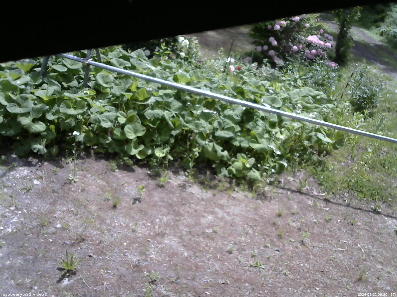 長野県菅平高原 ゆたか山荘 駐車場 2026/05/31 09:30