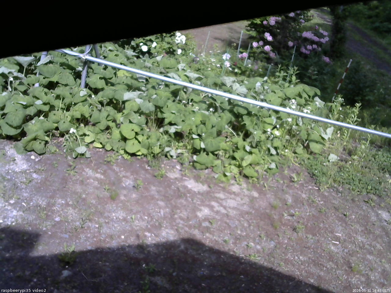 長野県菅平高原 ゆたか山荘 駐車場 2026/05/31 14:45