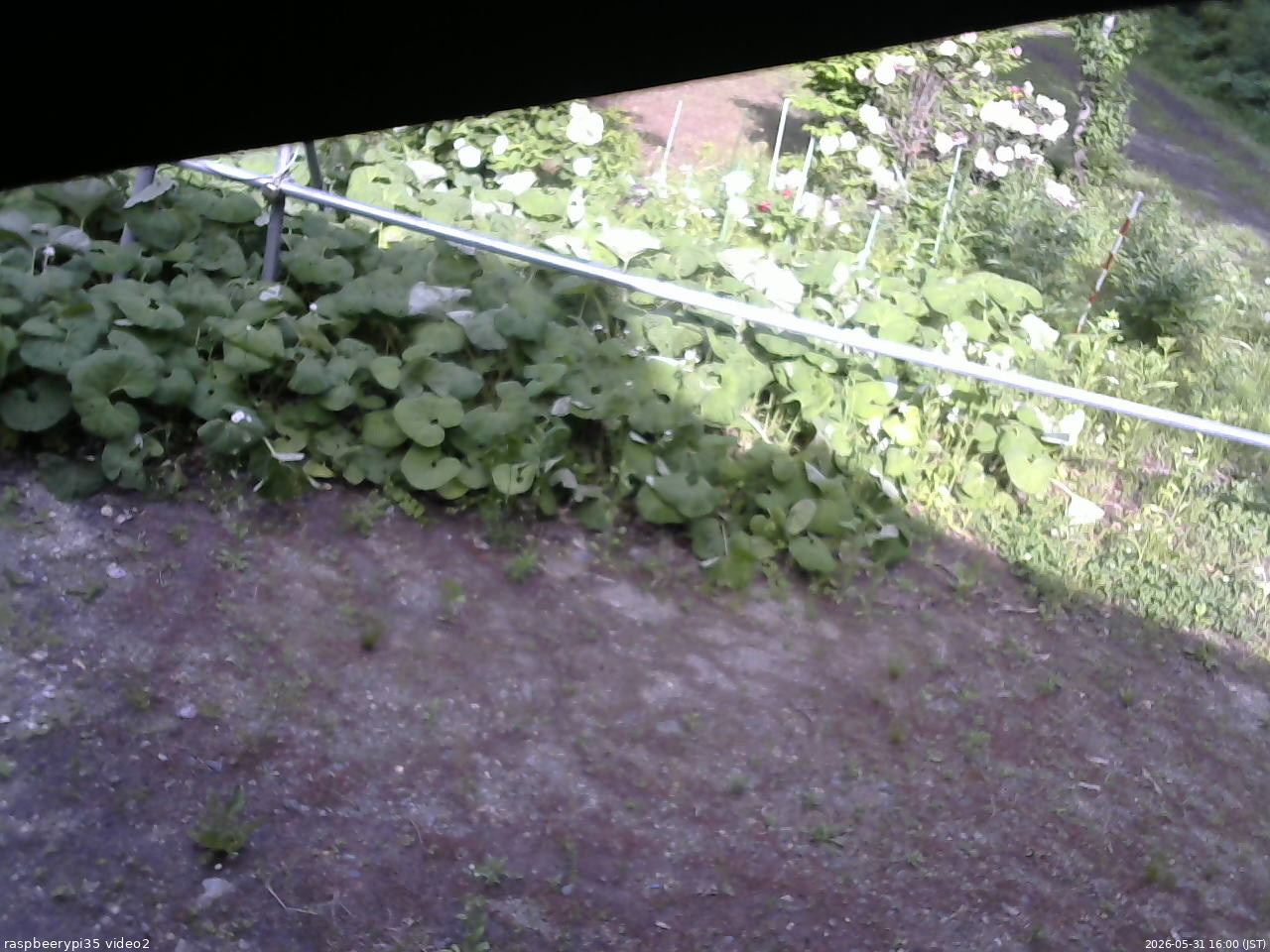 長野県菅平高原 ゆたか山荘 駐車場 2026/05/31 16:00