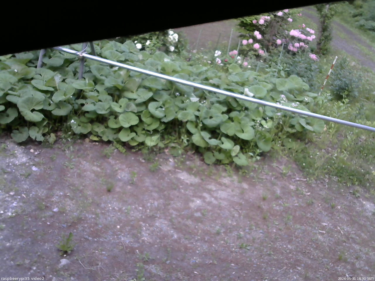 長野県菅平高原 ゆたか山荘 駐車場 2026/05/31 18:30