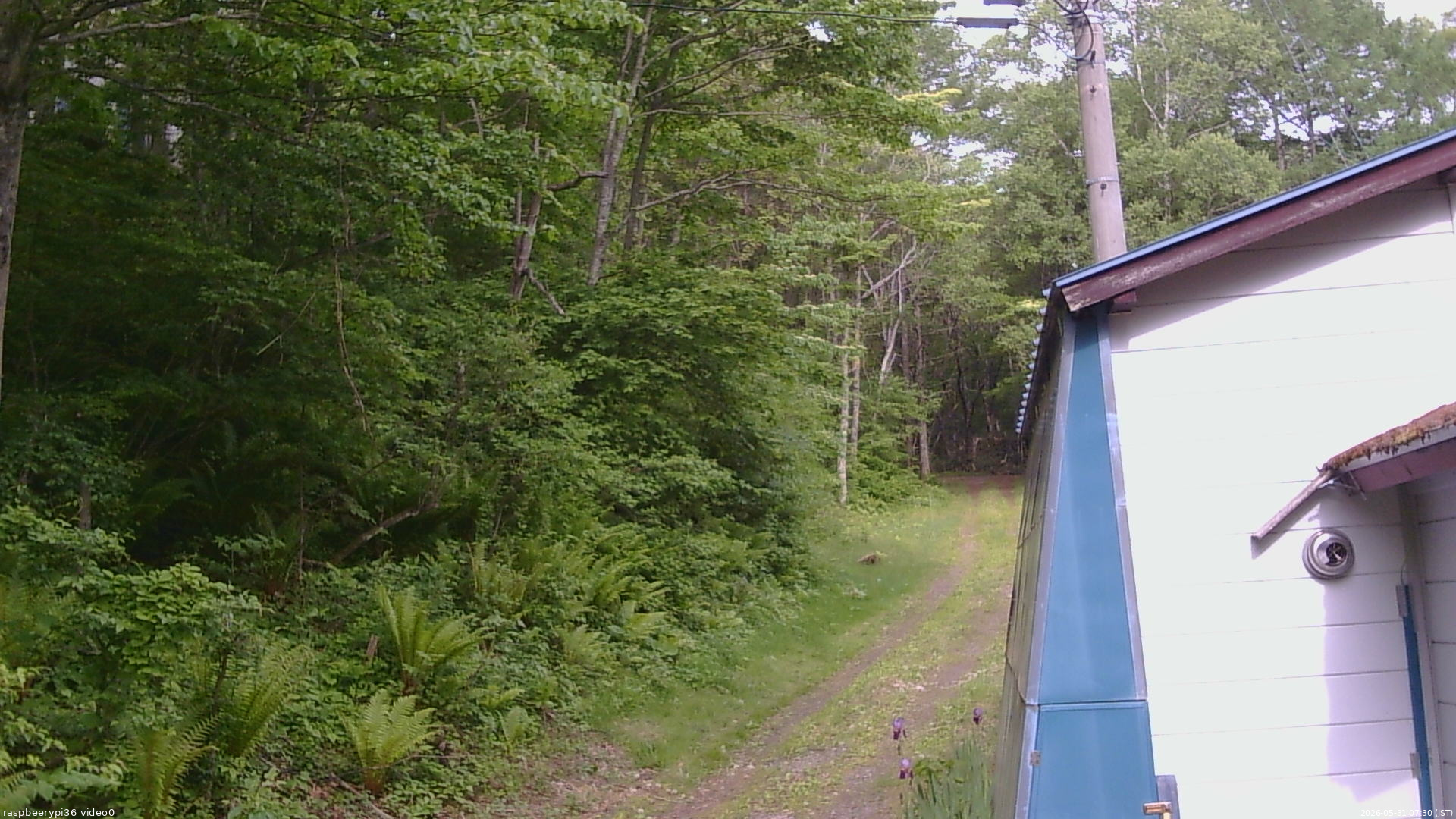 長野県菅平高原 ゆたか山荘 ゆたか山荘 2026/05/31 07:30