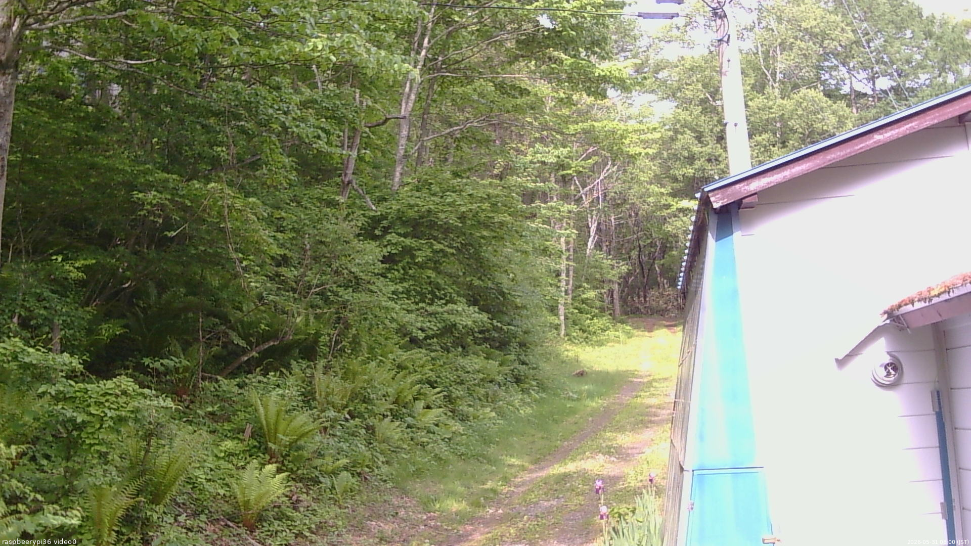 長野県菅平高原 ゆたか山荘 ゆたか山荘 2026/05/31 08:00