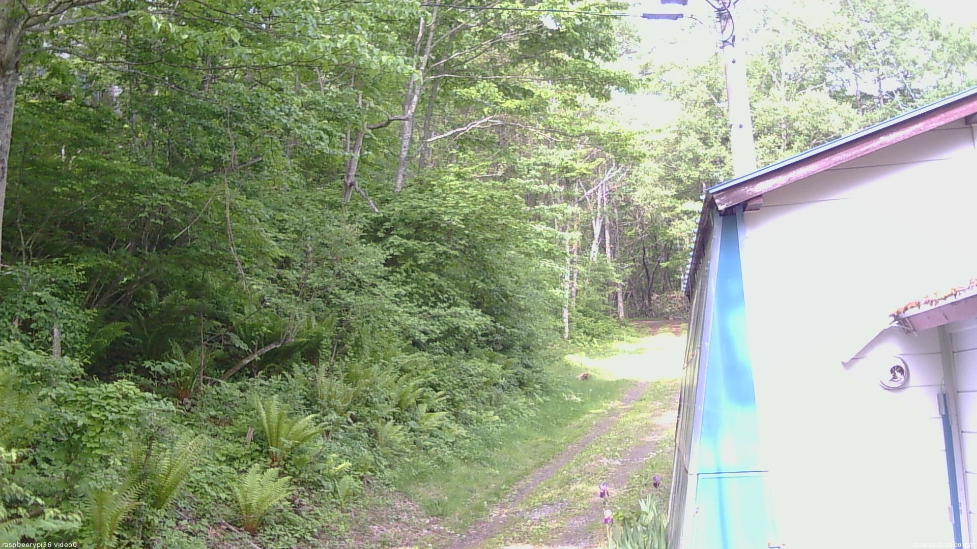 長野県菅平高原 ゆたか山荘 ゆたか山荘 2026/05/31 09:00