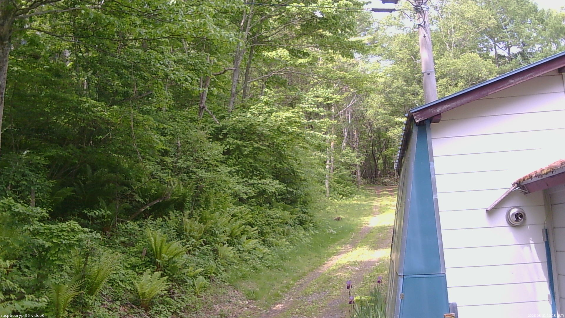 長野県菅平高原 ゆたか山荘 ゆたか山荘 2026/05/31 10:15