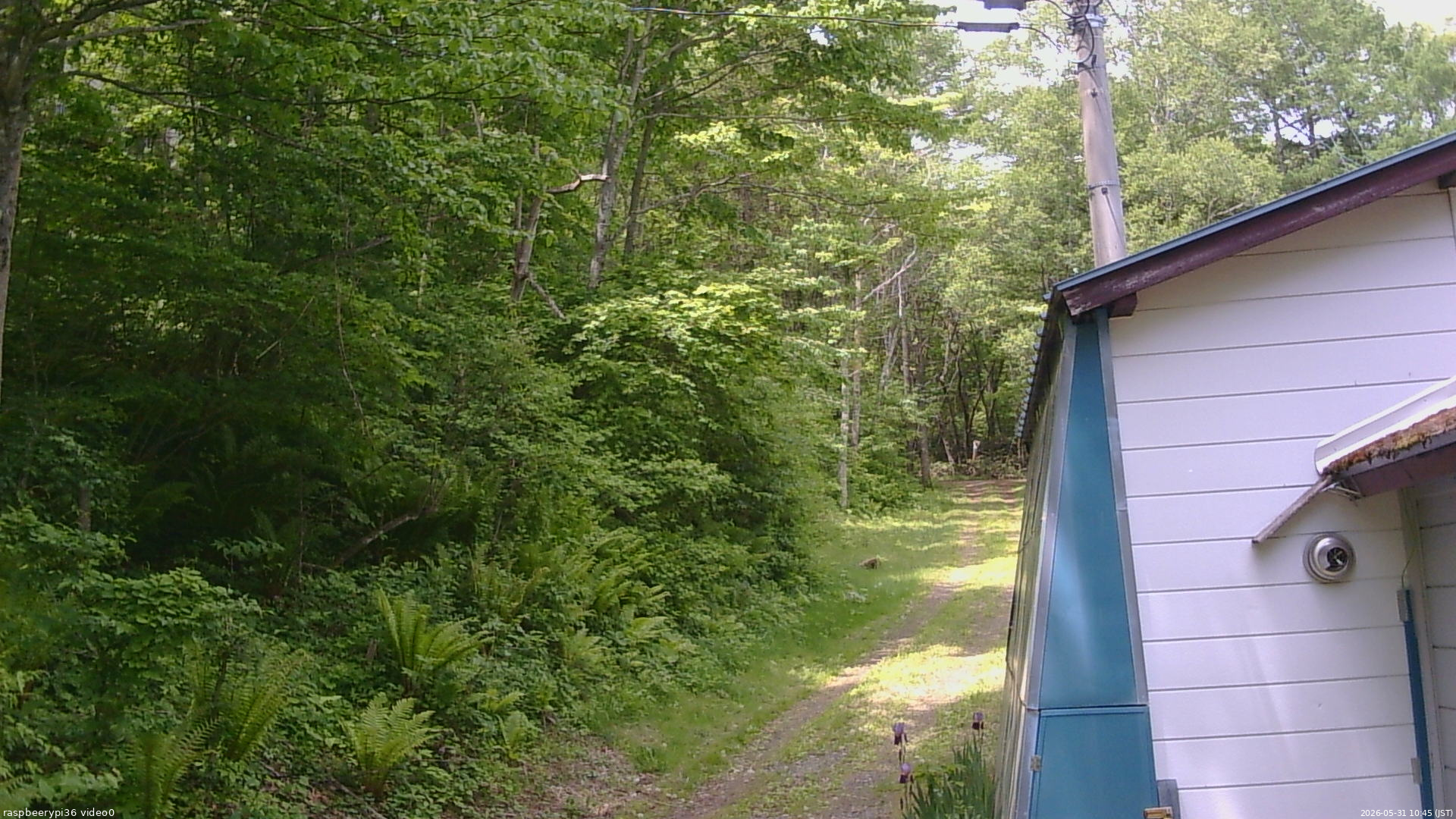 長野県菅平高原 ゆたか山荘 ゆたか山荘 2026/05/31 10:45