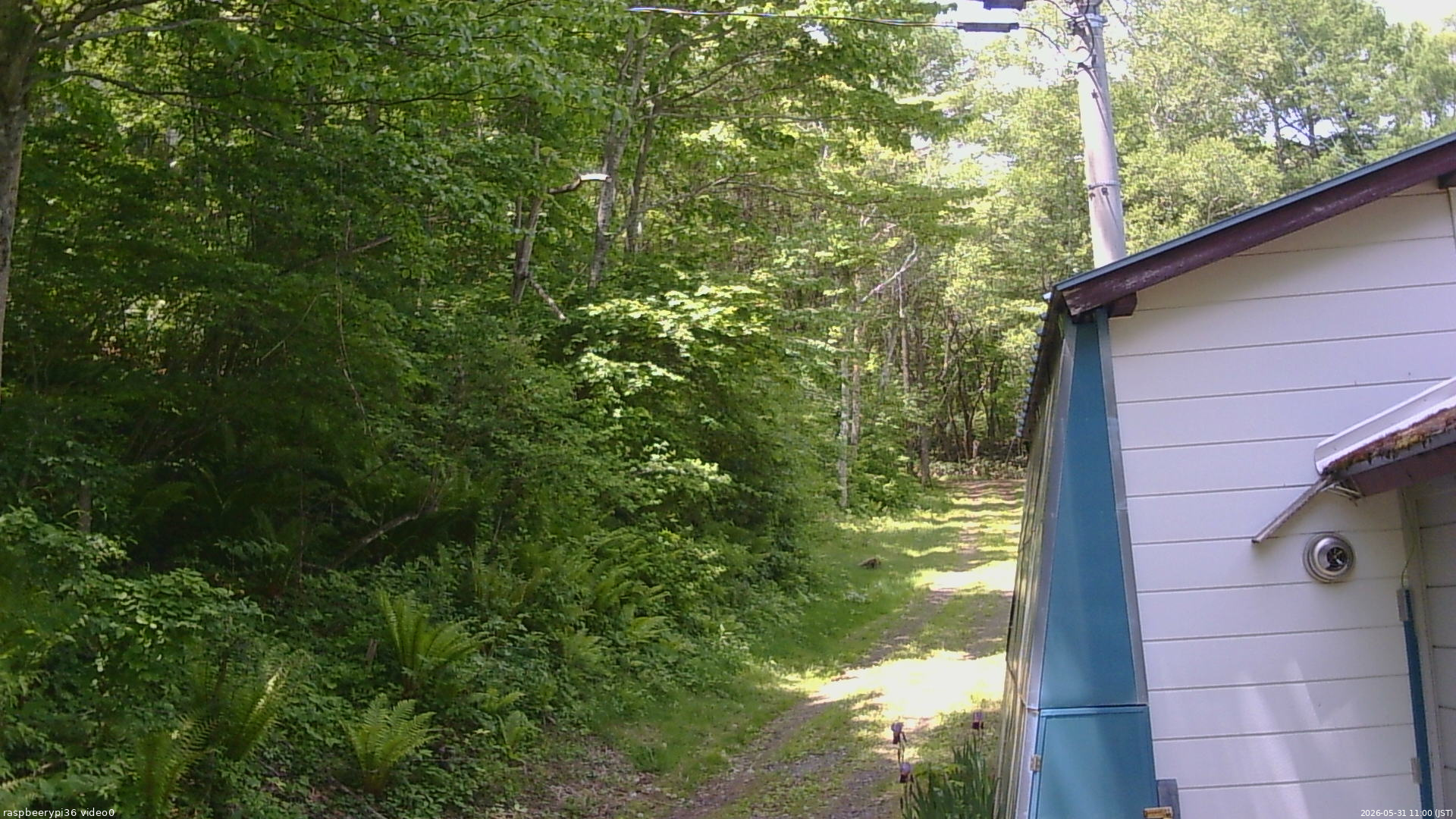 長野県菅平高原 ゆたか山荘 ゆたか山荘 2026/05/31 11:00