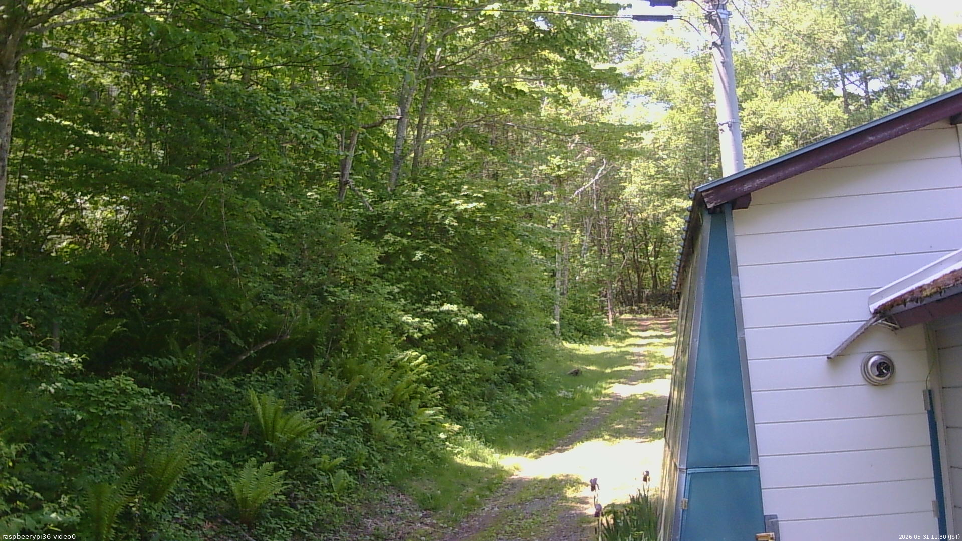 長野県菅平高原 ゆたか山荘 ゆたか山荘 2026/05/31 11:30