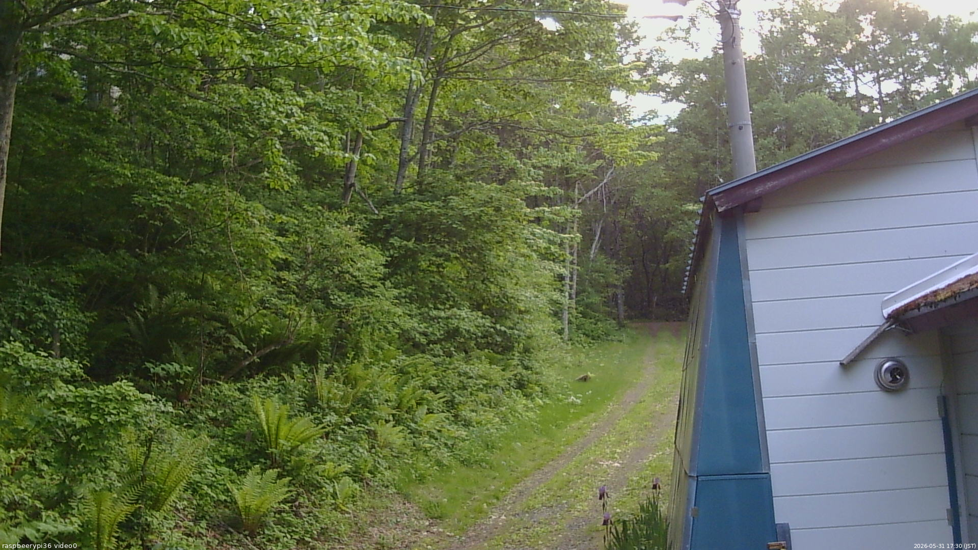 長野県菅平高原 ゆたか山荘 ゆたか山荘 2026/05/31 17:30