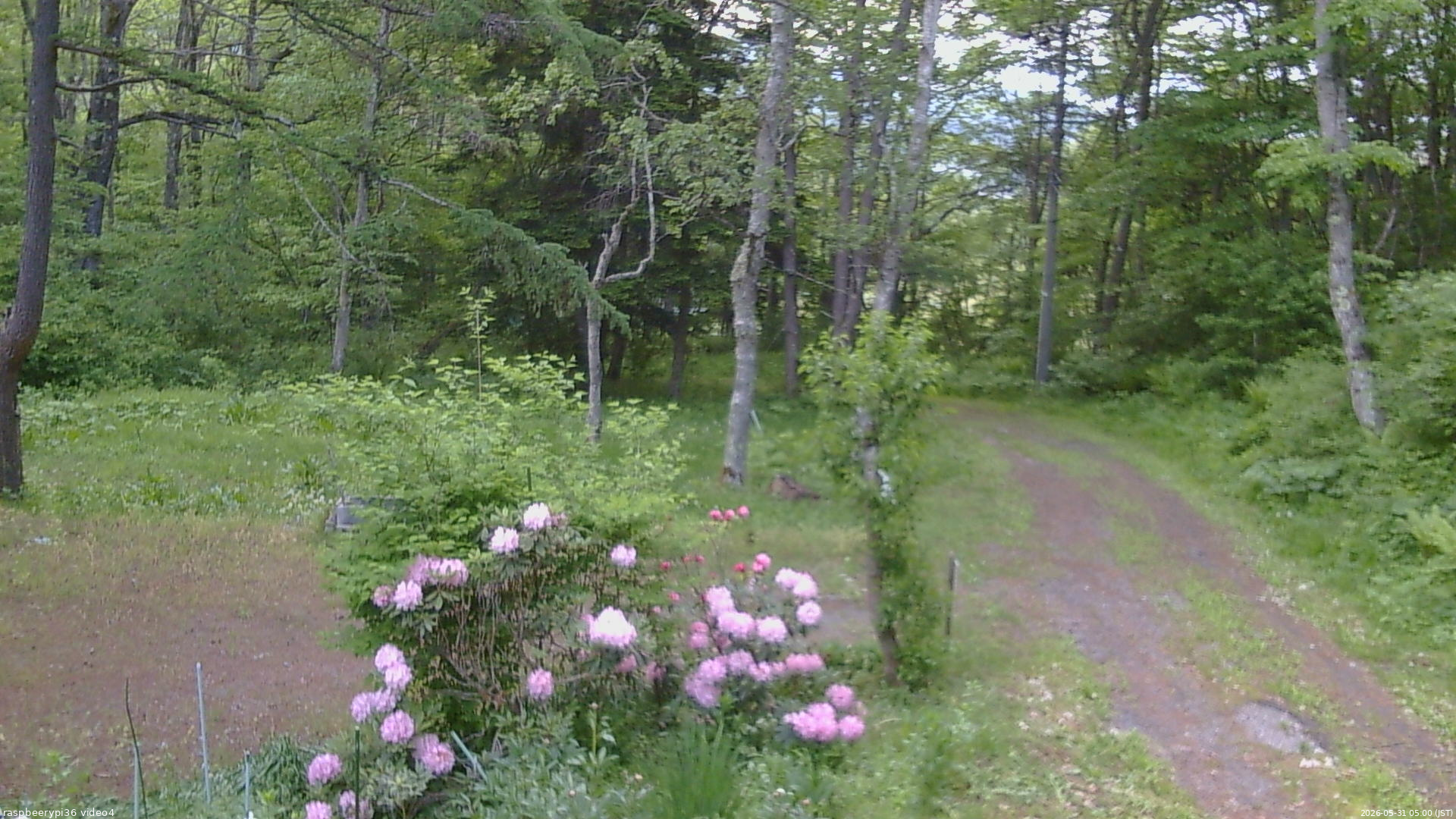 長野県菅平高原 ゆたか山荘 坂上 2026/05/31 05:00