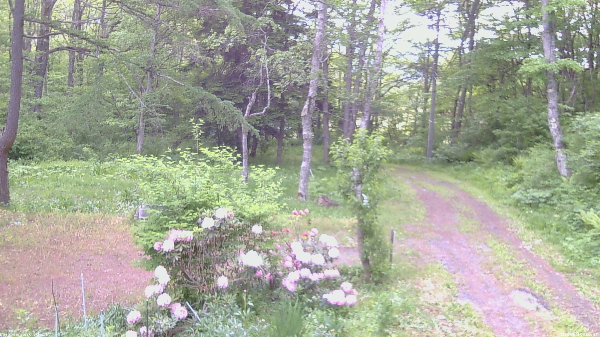 長野県菅平高原 ゆたか山荘 坂上 2026/05/31 06:00