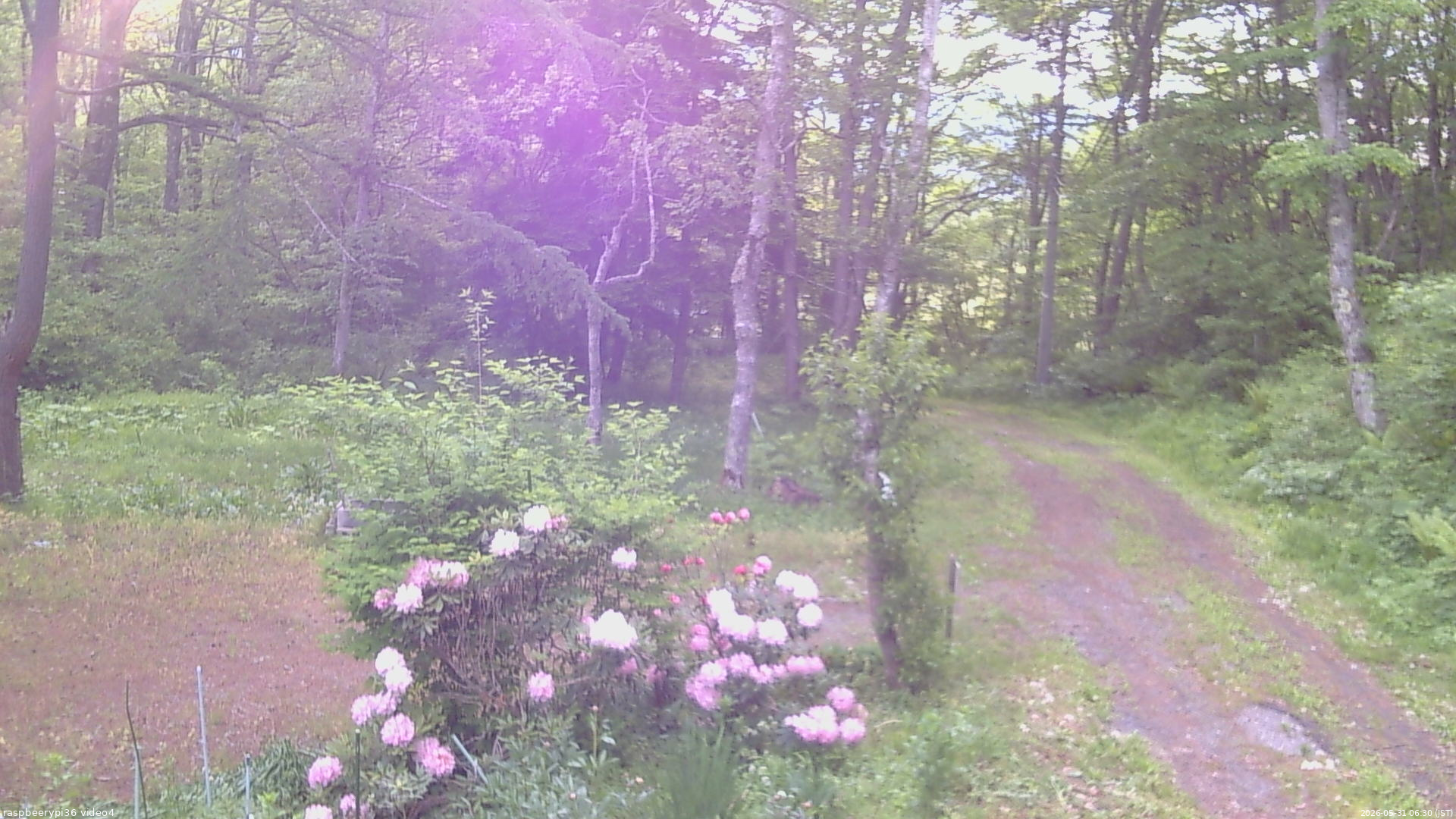 長野県菅平高原 ゆたか山荘 坂上 2026/05/31 06:30