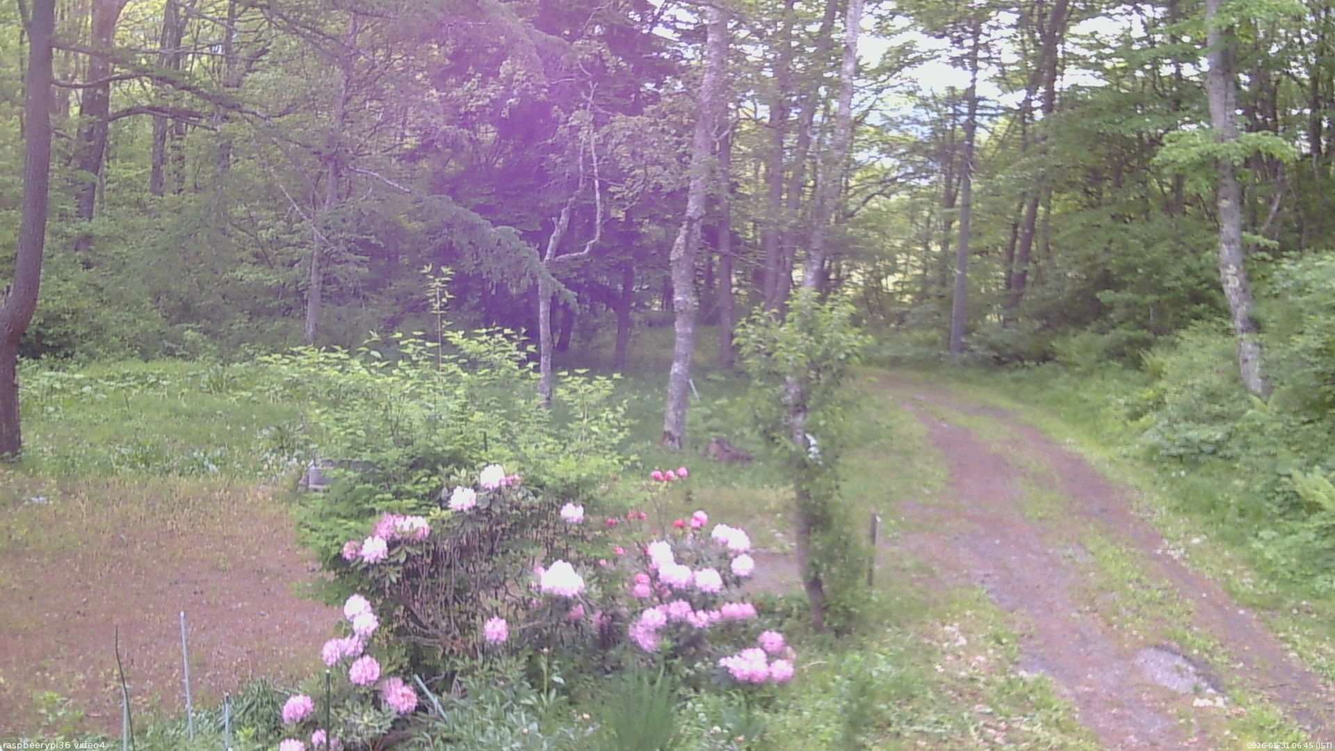 長野県菅平高原 ゆたか山荘 坂上 2026/05/31 06:45