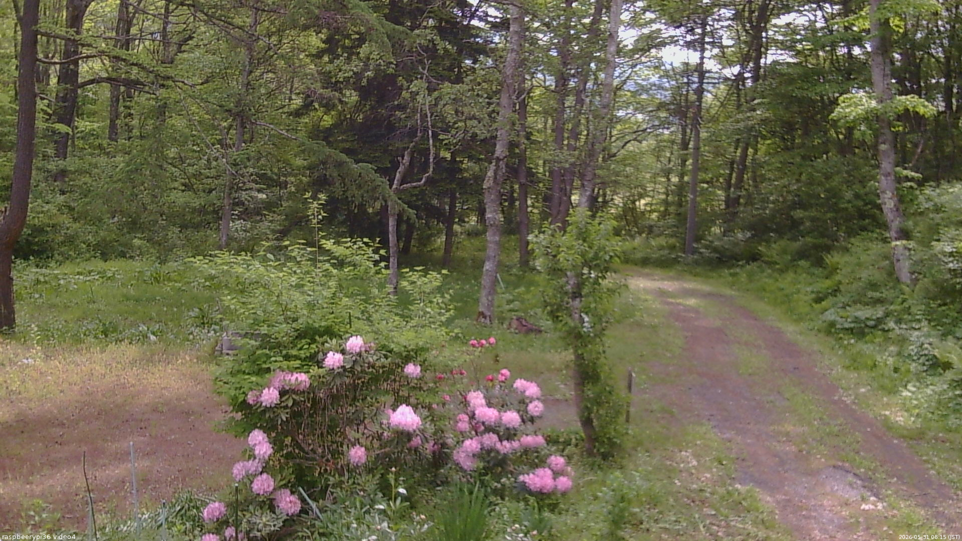 長野県菅平高原 ゆたか山荘 坂上 2026/05/31 08:15