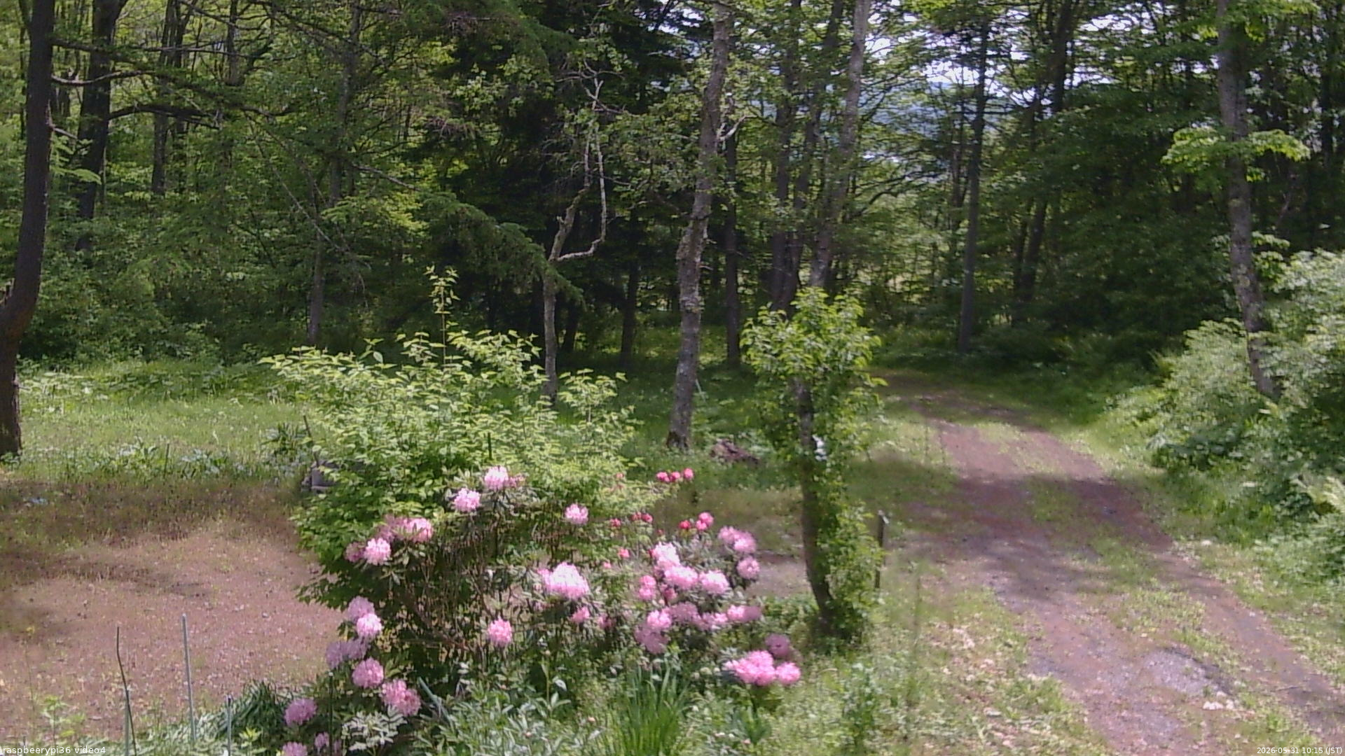 長野県菅平高原 ゆたか山荘 坂上 2026/05/31 10:15