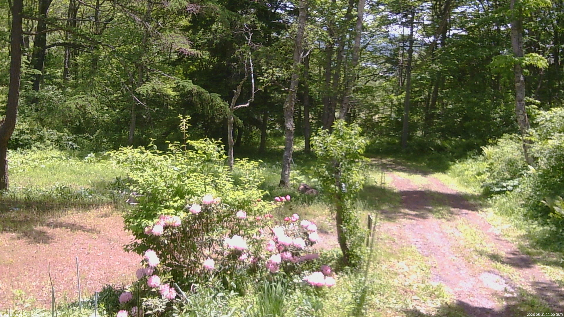 長野県菅平高原 ゆたか山荘 坂上 2026/05/31 11:00
