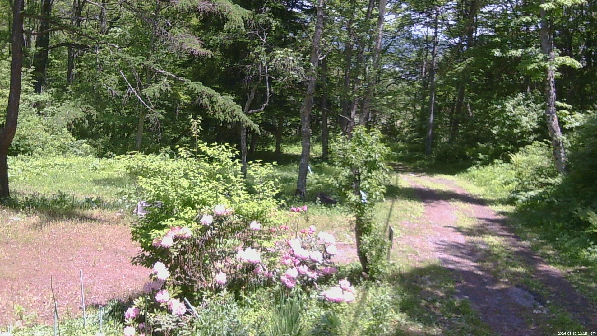 長野県菅平高原 ゆたか山荘 坂上 2026/05/31 12:15