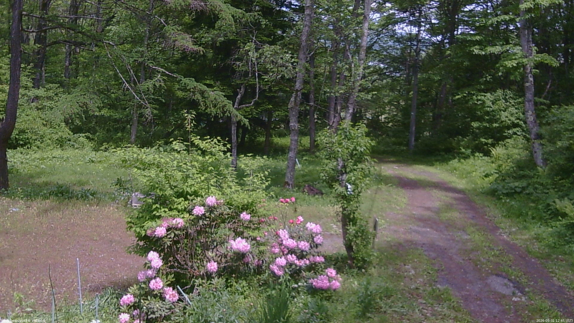 長野県菅平高原 ゆたか山荘 坂上 2026/05/31 12:45