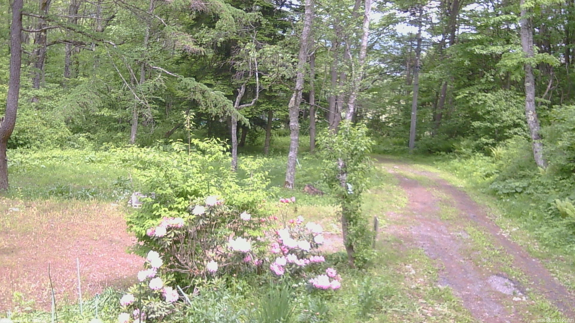 長野県菅平高原 ゆたか山荘 坂上 2026/05/31 13:00