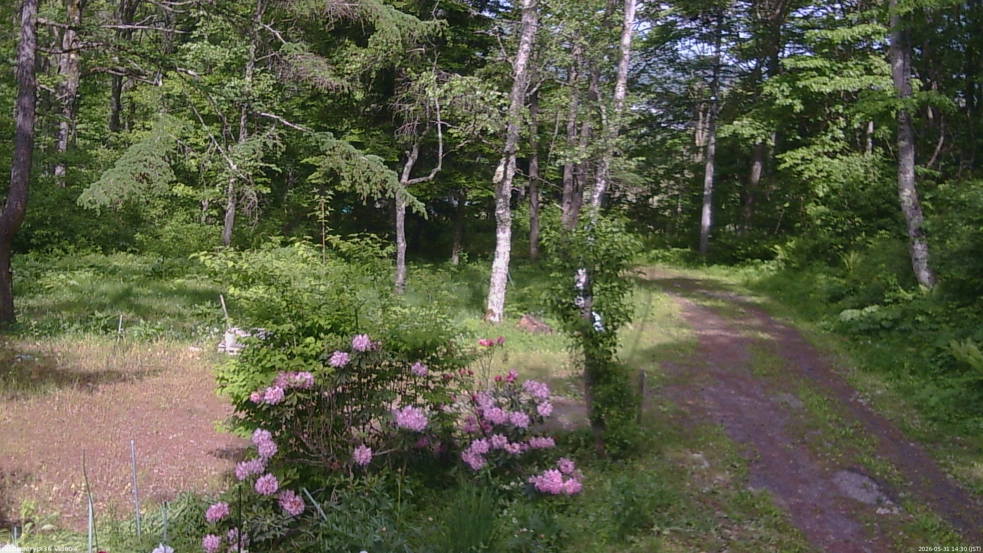 長野県菅平高原 ゆたか山荘 坂上 2026/05/31 14:30