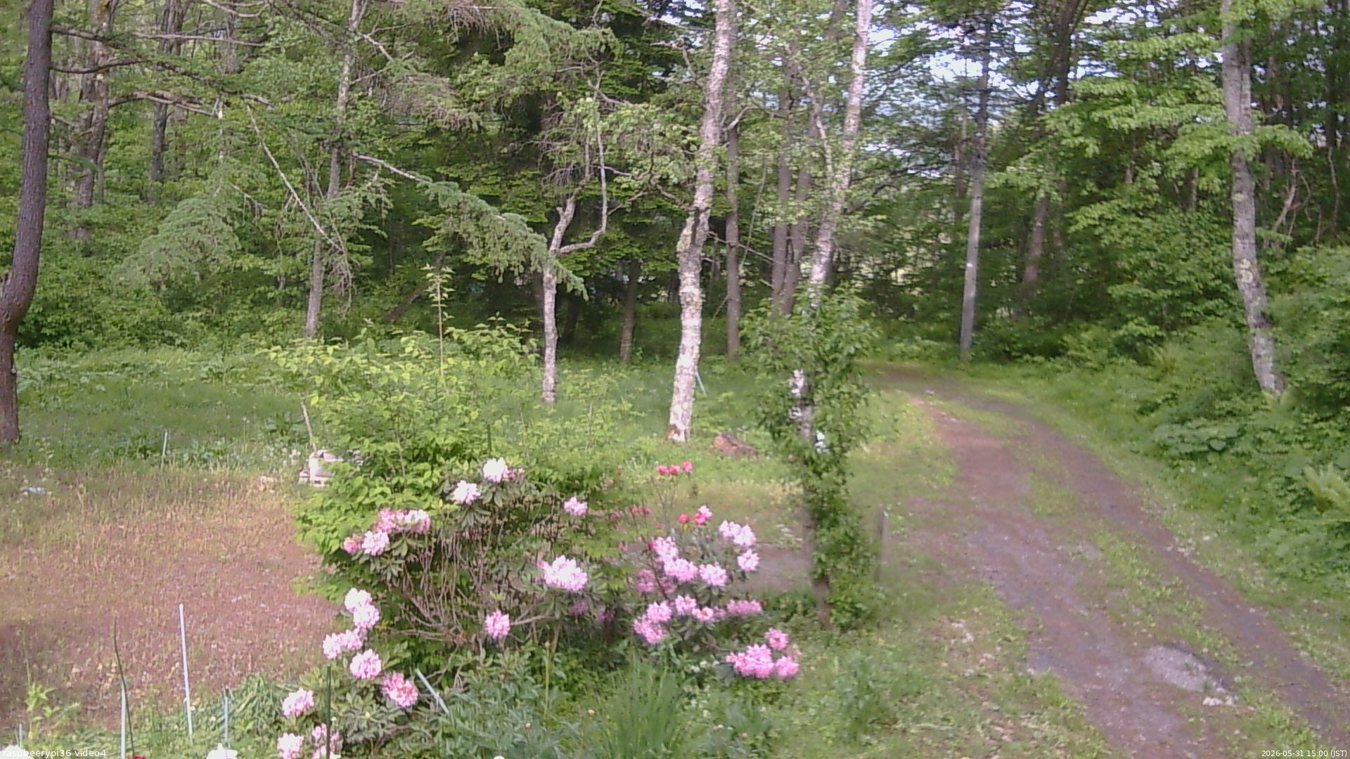 長野県菅平高原 ゆたか山荘 坂上 2026/05/31 15:00