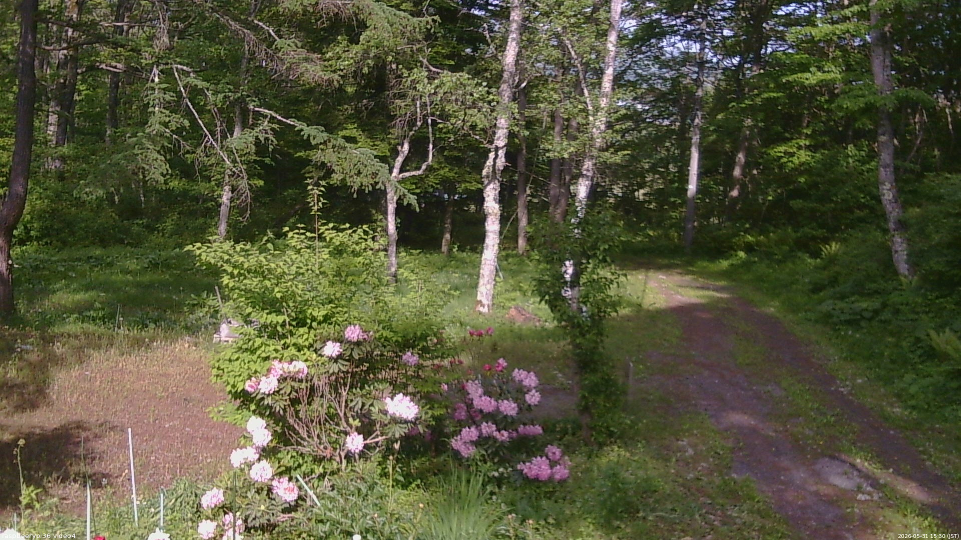 長野県菅平高原 ゆたか山荘 坂上 2026/05/31 15:30