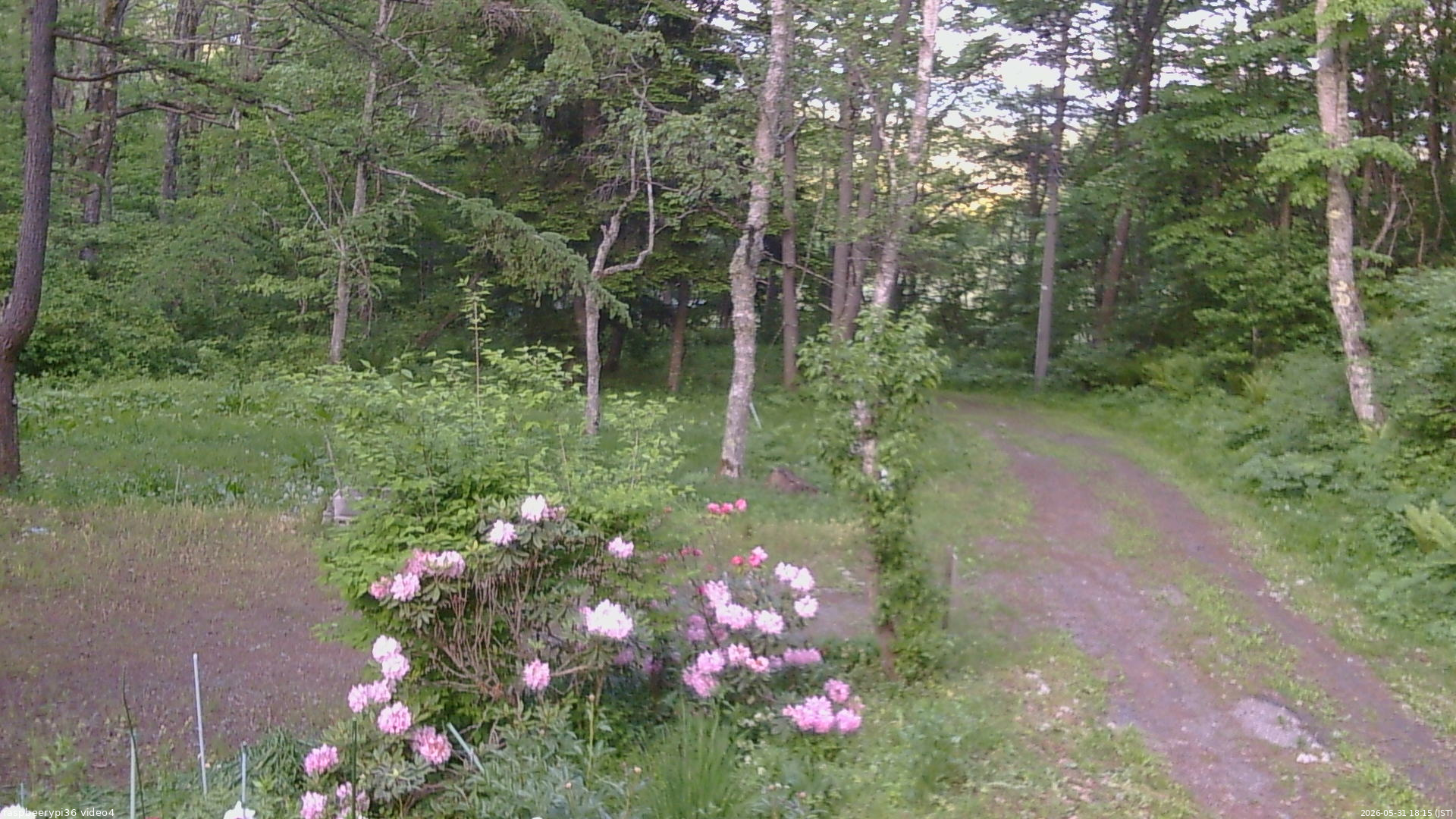 長野県菅平高原 ゆたか山荘 坂上 2026/05/31 18:15