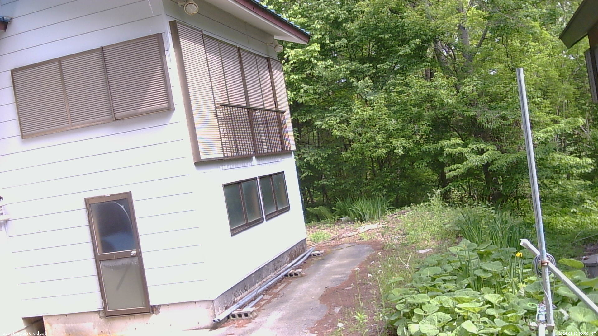 長野県菅平高原 ゆたか山荘 坂下 2026/05/31 09:00