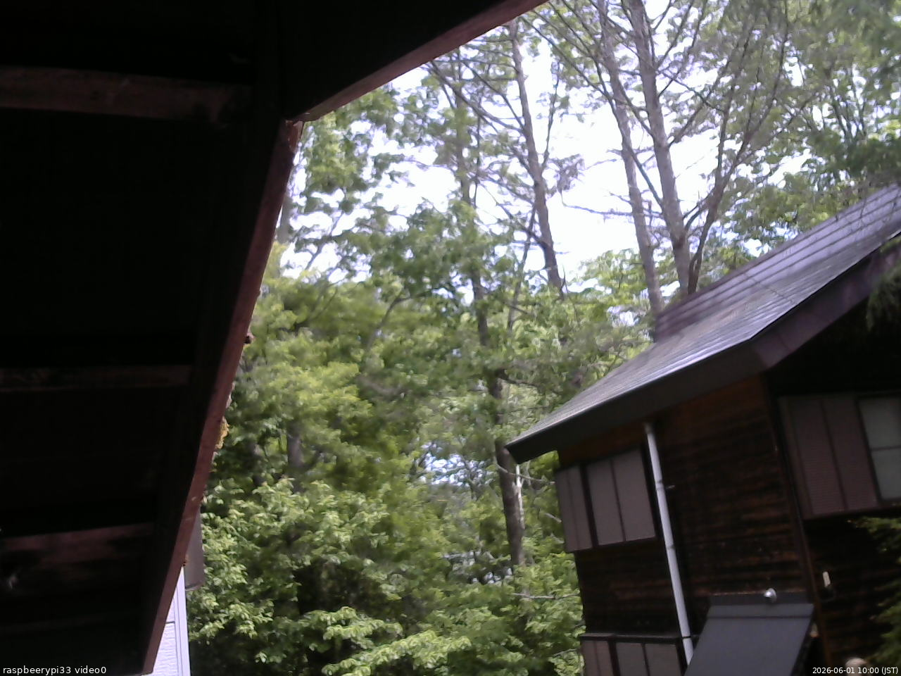 長野県菅平高原 ゆたか山荘 北側 2026/06/01 10:00