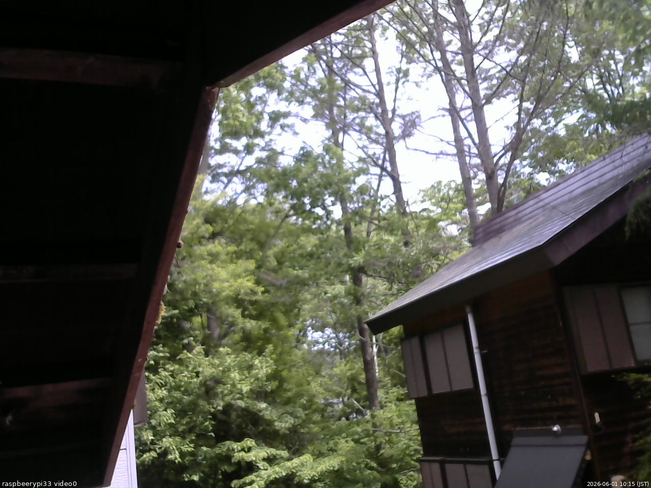 長野県菅平高原 ゆたか山荘 北側 2026/06/01 10:15