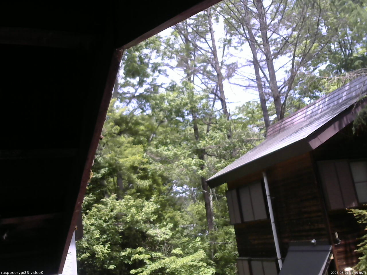 長野県菅平高原 ゆたか山荘 北側 2026/06/01 11:45