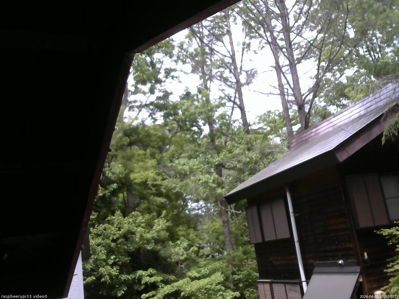 長野県菅平高原 ゆたか山荘 北側 2026/06/01 12:30