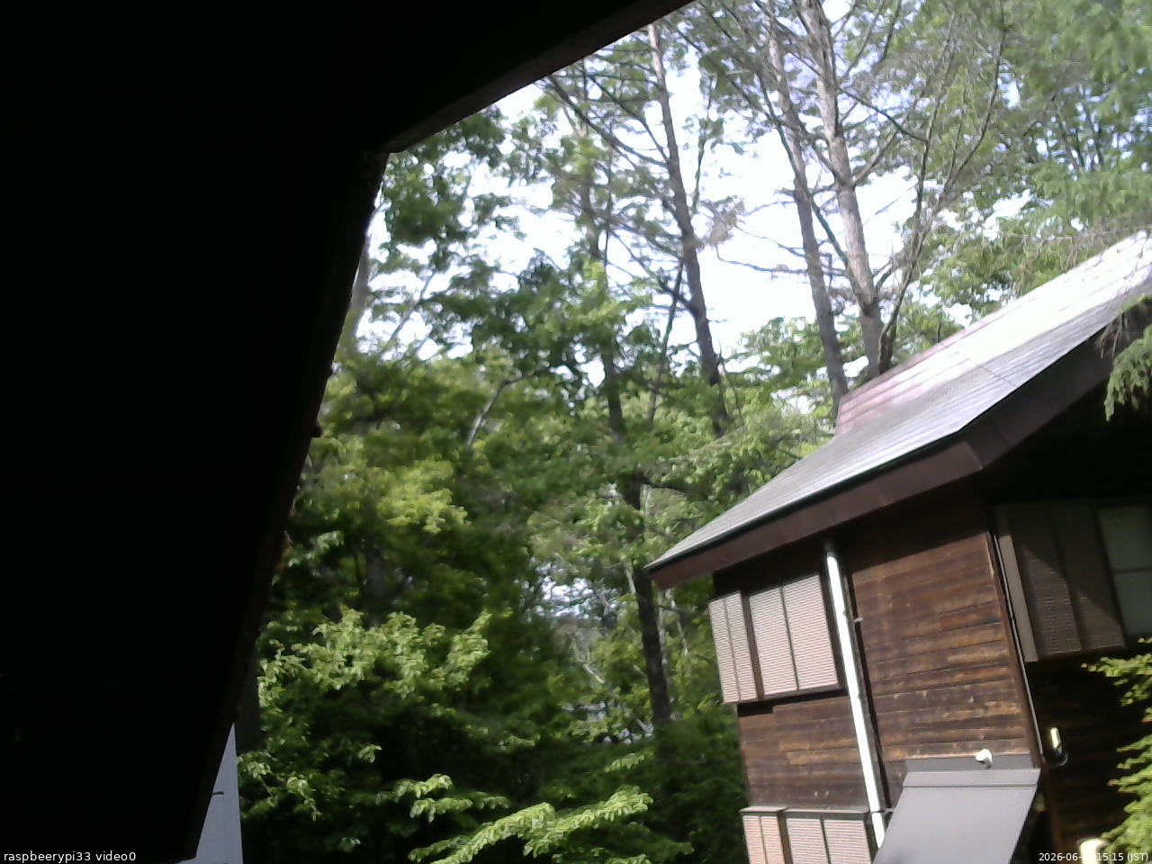 長野県菅平高原 ゆたか山荘 北側 2026/06/01 15:15