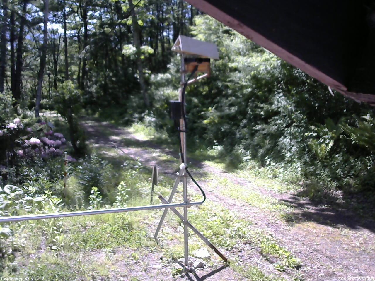 長野県菅平高原 ゆたか山荘 南側 2026/06/01 08:30
