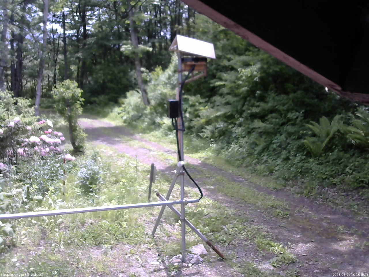 長野県菅平高原 ゆたか山荘 南側 2026/06/01 10:15