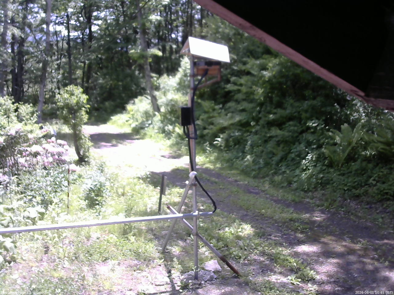 長野県菅平高原 ゆたか山荘 南側 2026/06/01 10:45