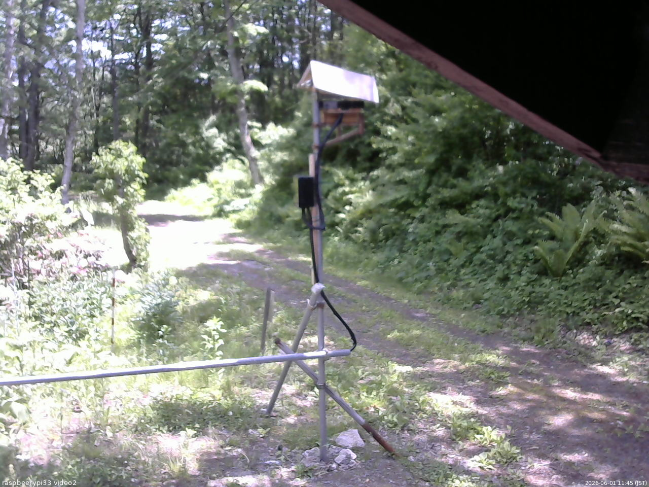 長野県菅平高原 ゆたか山荘 南側 2026/06/01 11:45