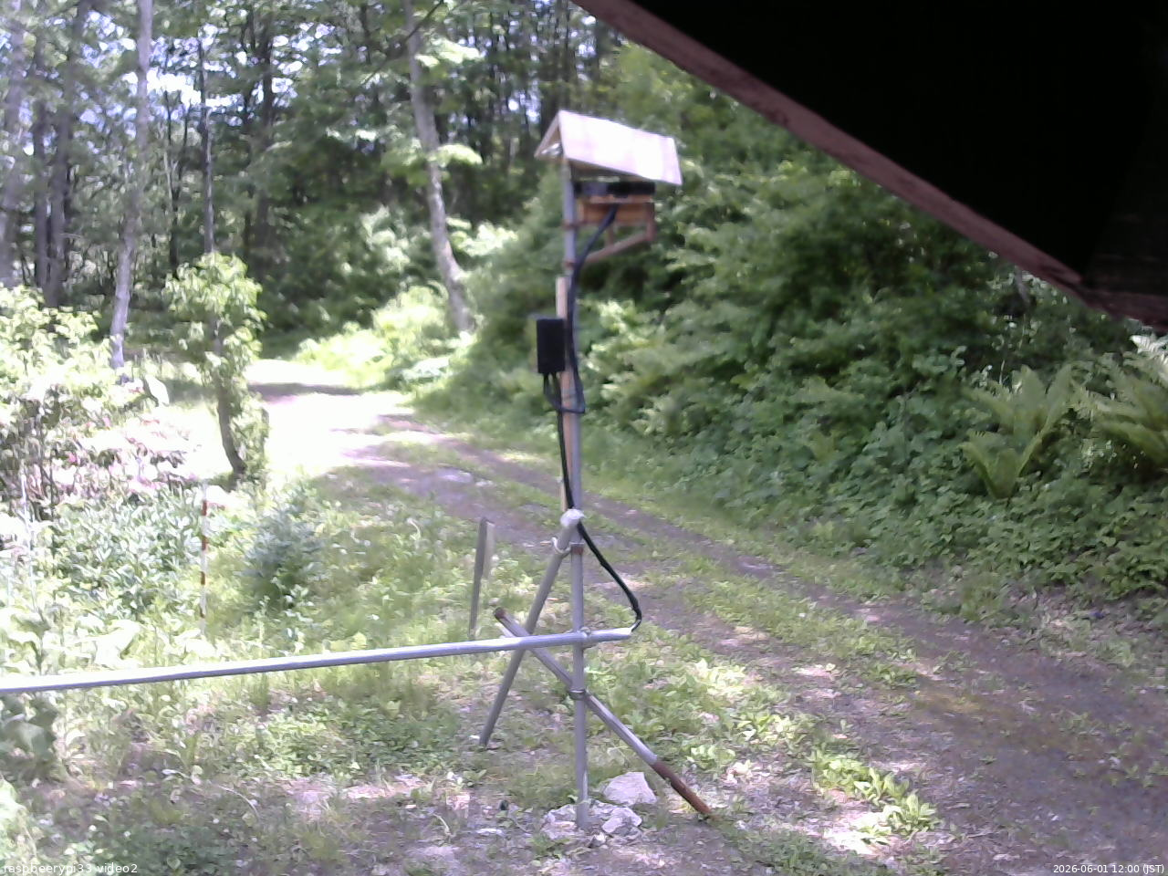 長野県菅平高原 ゆたか山荘 南側 2026/06/01 12:00