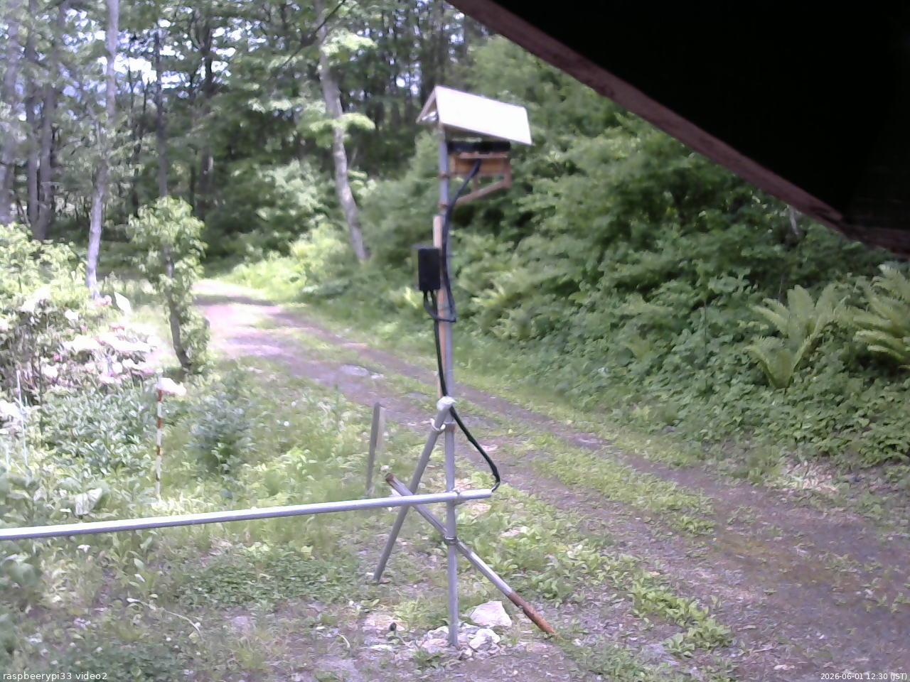 長野県菅平高原 ゆたか山荘 南側 2026/06/01 12:30
