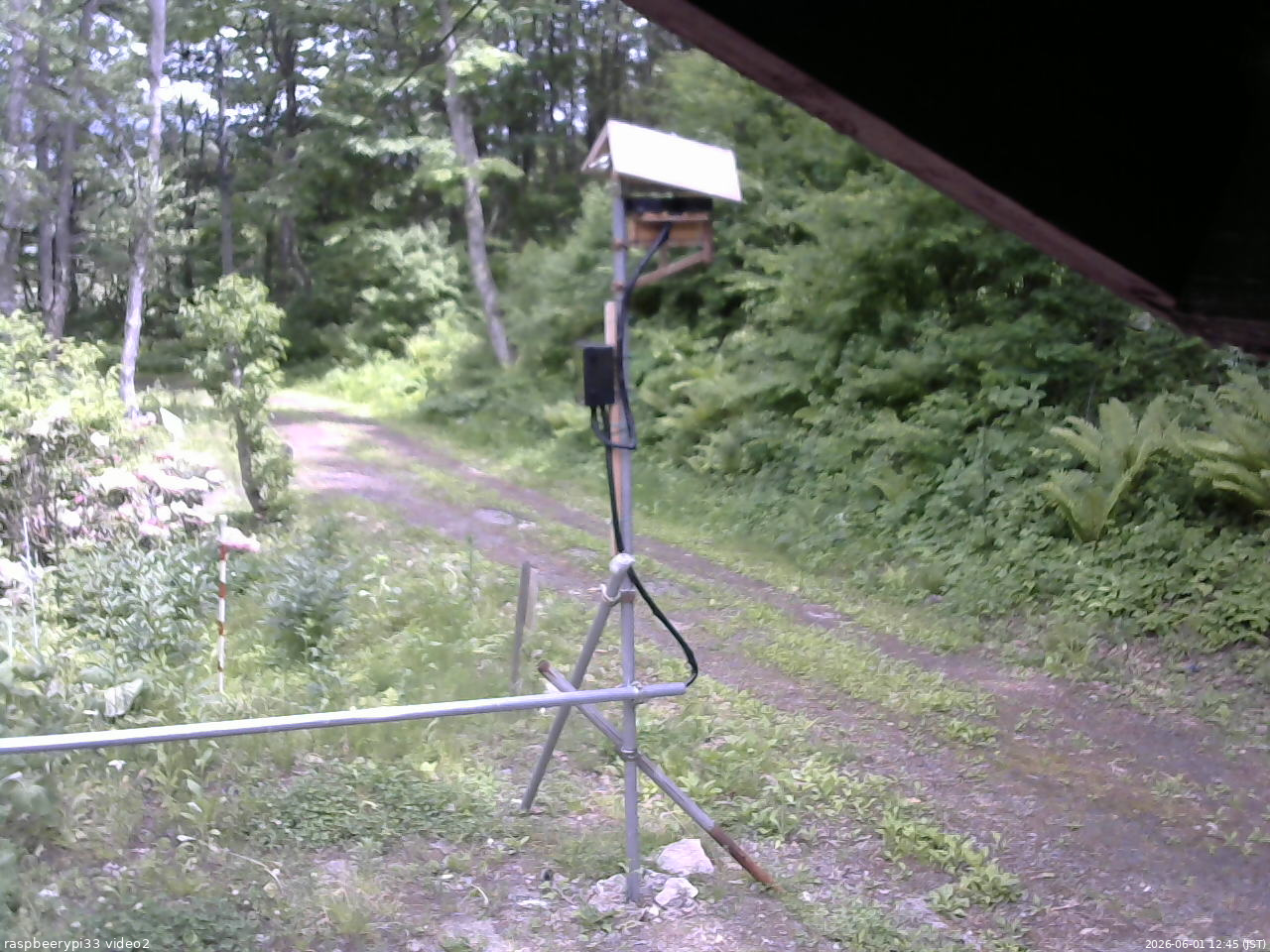 長野県菅平高原 ゆたか山荘 南側 2026/06/01 12:45