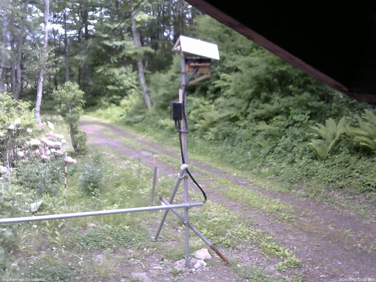 長野県菅平高原 ゆたか山荘 南側 2026/06/01 13:00