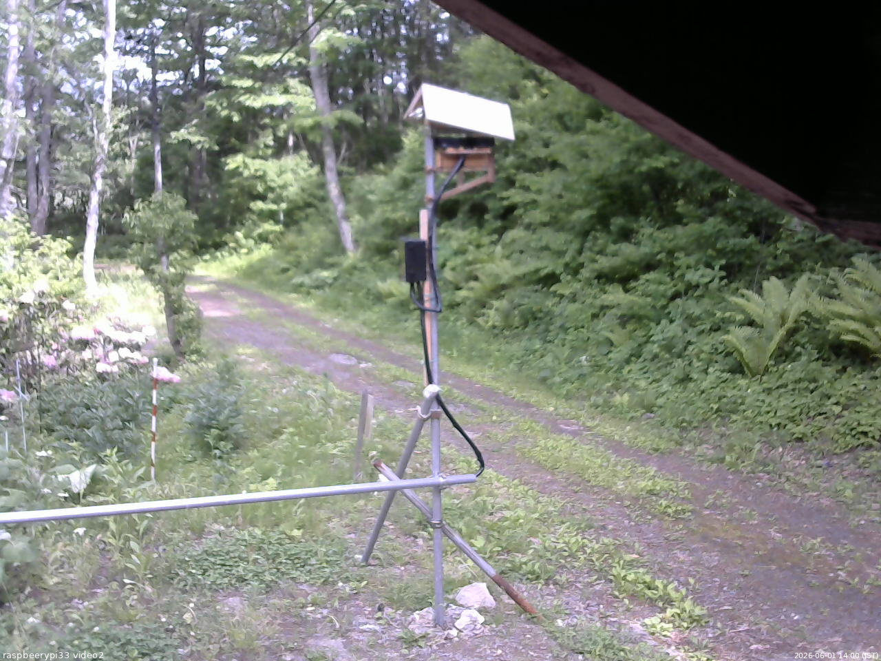 長野県菅平高原 ゆたか山荘 南側 2026/06/01 14:00