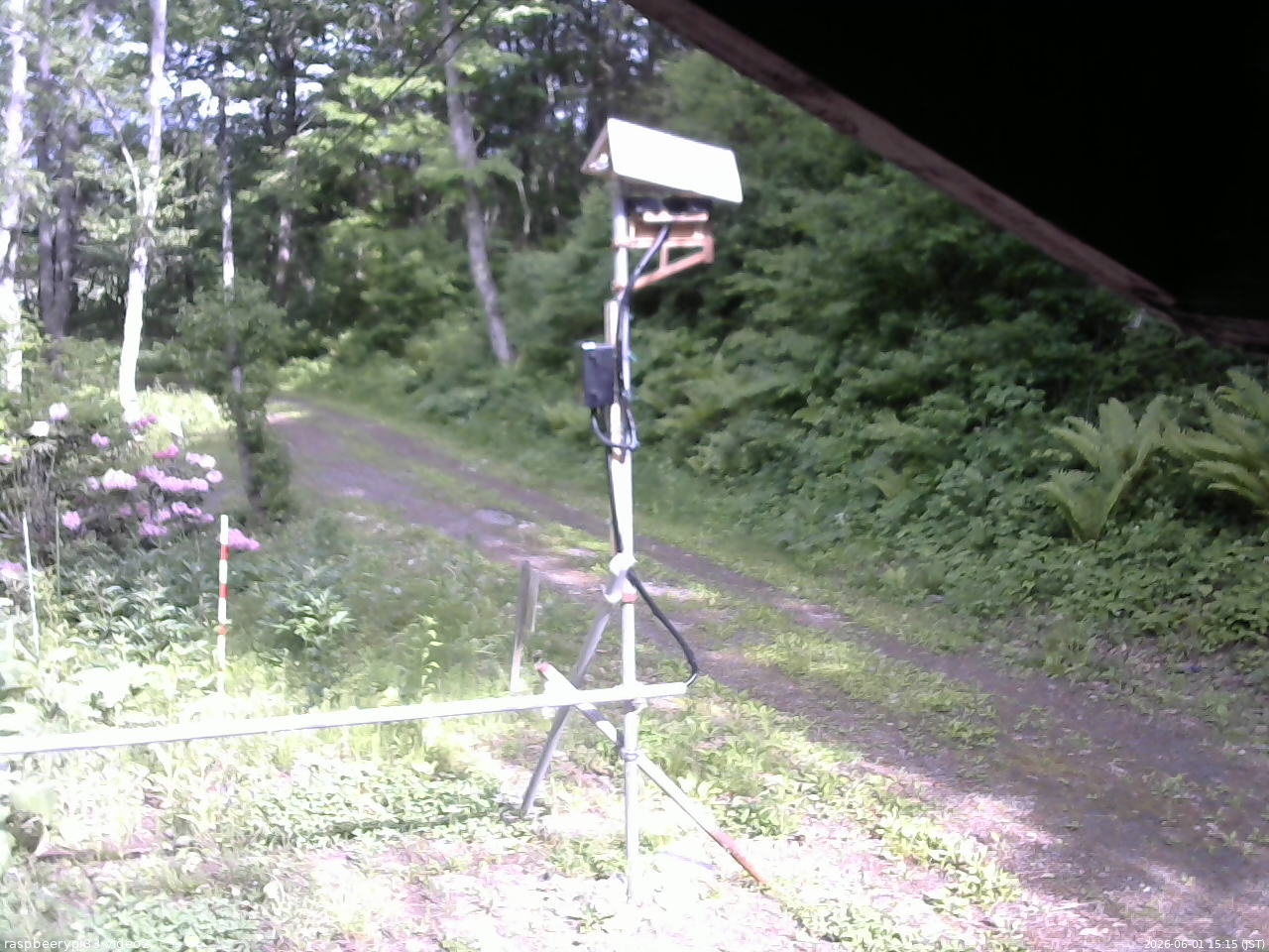 長野県菅平高原 ゆたか山荘 南側 2026/06/01 15:15