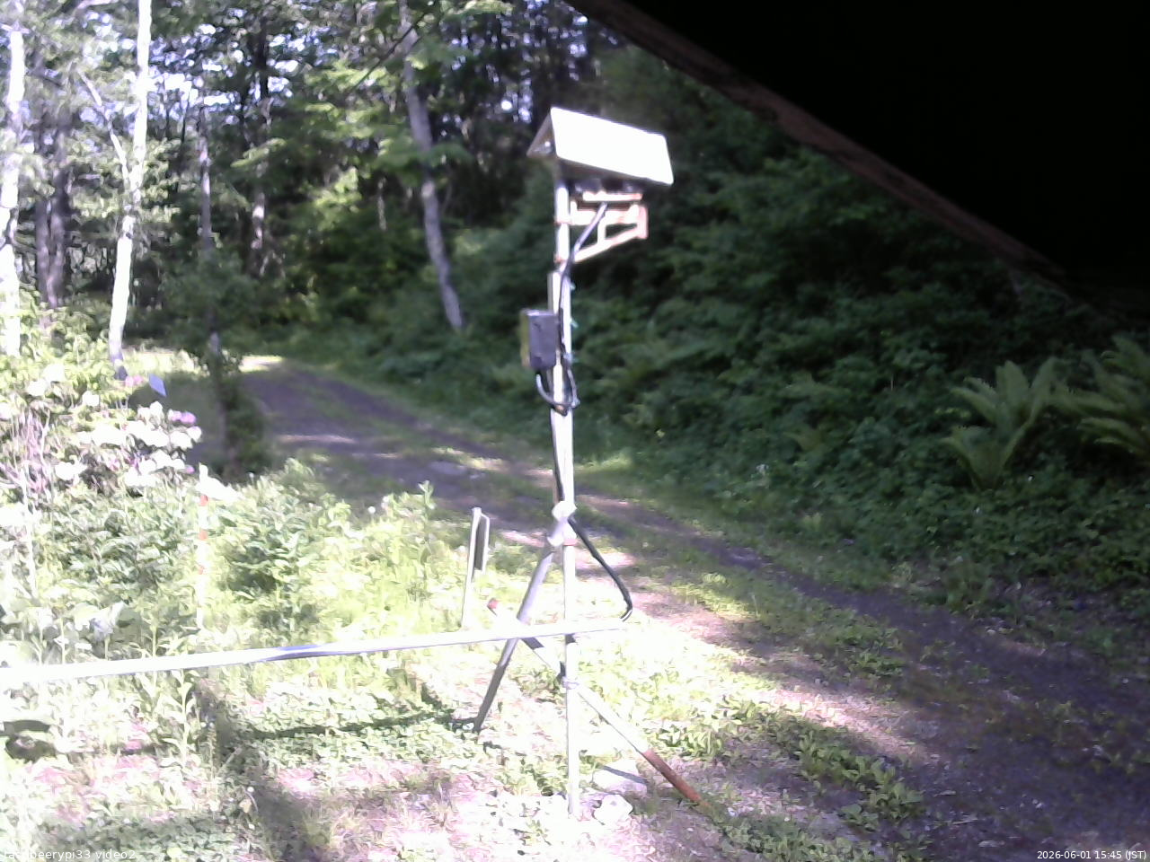 長野県菅平高原 ゆたか山荘 南側 2026/06/01 15:45