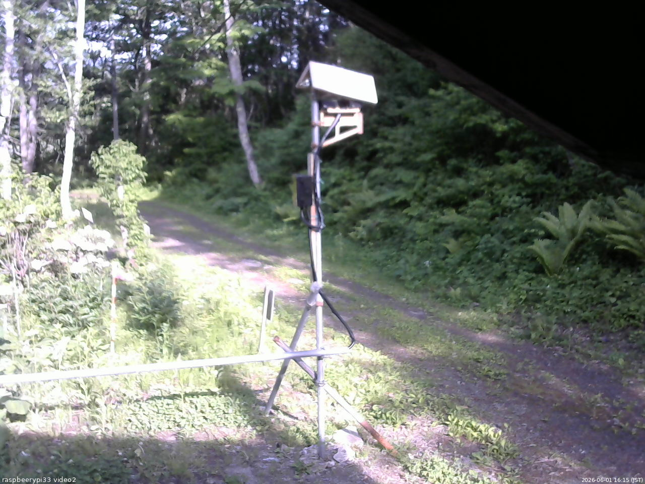 長野県菅平高原 ゆたか山荘 南側 2026/06/01 16:15