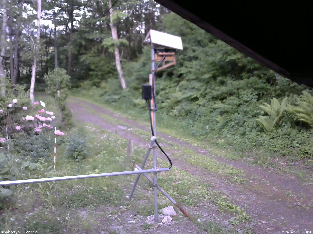 長野県菅平高原 ゆたか山荘 南側 2026/06/01 18:15