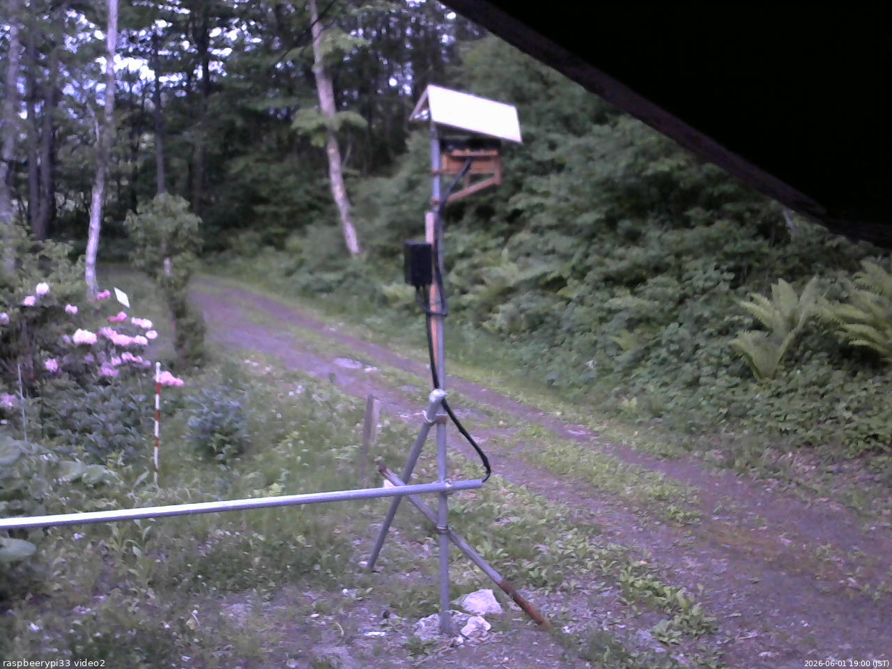 長野県菅平高原 ゆたか山荘 南側 2026/06/01 19:00